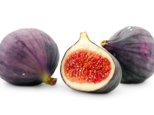 Ali podobnost res zdravi?